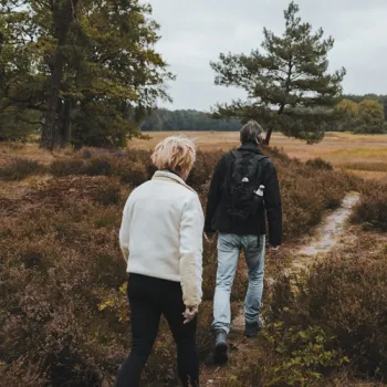 Twee wandelaars lopen over een smal zandpad door een heidegebied met bomen en ui